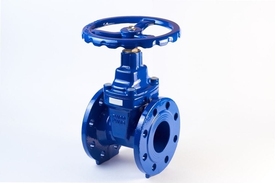 Vapor aparafusado resiliente flangeado ferro fundido do RUÍDO da válvula de porta de DN80 PN25