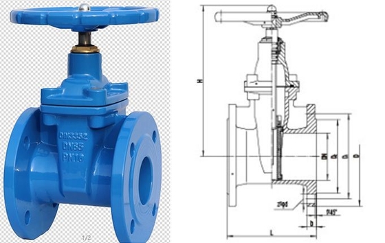 Vapor aparafusado resiliente flangeado ferro fundido do RUÍDO da válvula de porta de DN80 PN25