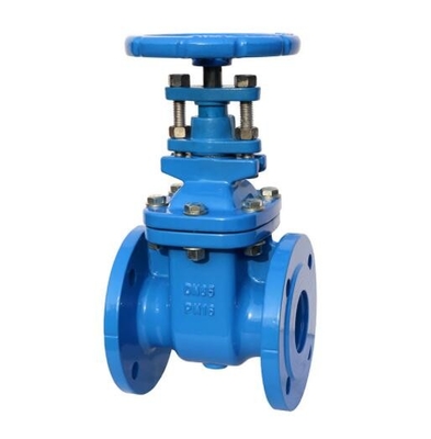 Válvula de porta assentada resiliente do metal pequeno do tamanho para o medidor de água com extremidade de linha DN 25